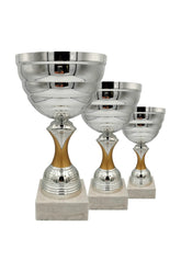 CTS 293 | SET de 3 Cupe Sportive - TrophyShop